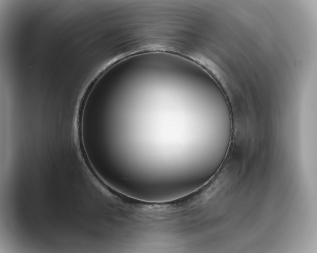 X0000089900902200707051305