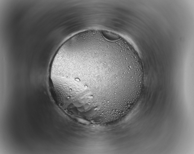 X0000089900903200707051305