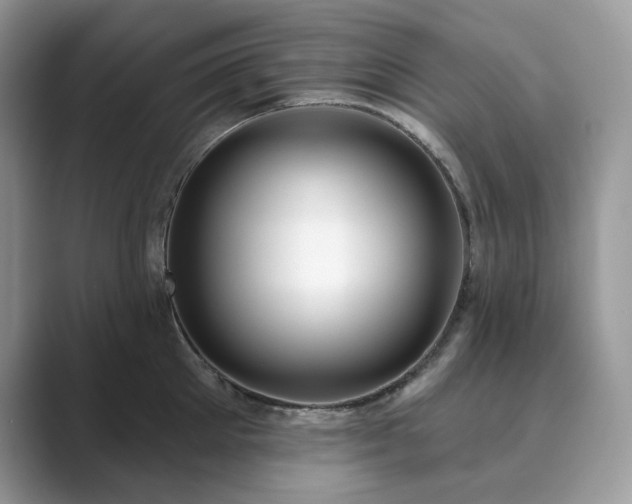 X0000089900905200707051305