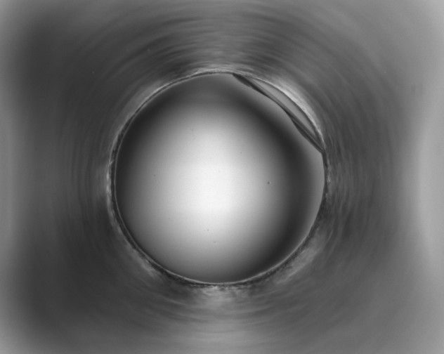 X0000089900906200707051305