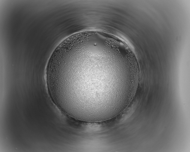 X0000089900907200707051305