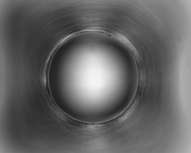 X0000089900908200707051305