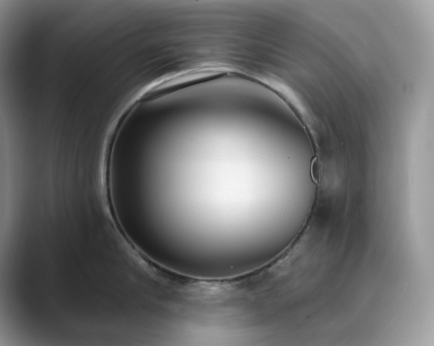 X0000089900910200707051305