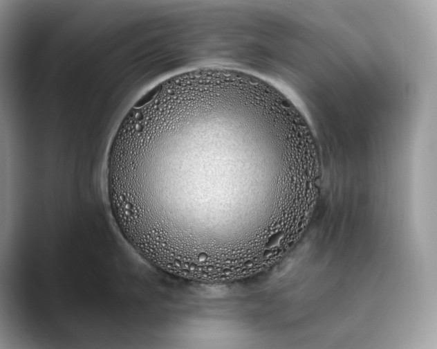 X0000089900911200707051305