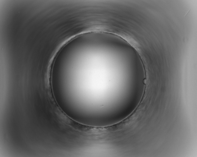 X0000089900912200707051305