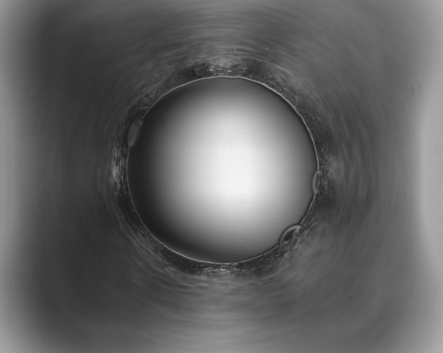 X0000089900914200707051305