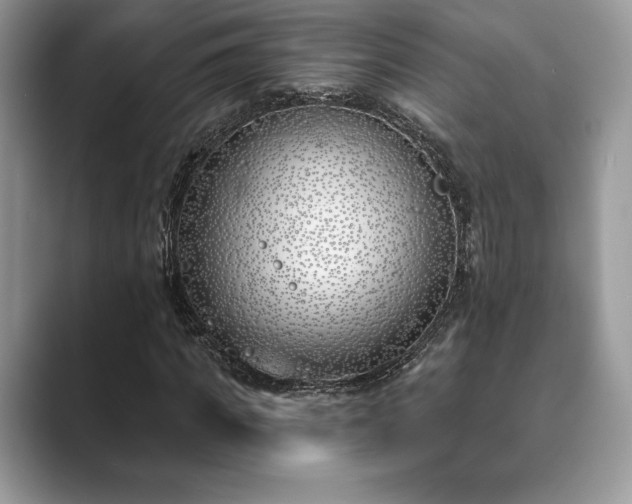 X0000089900917200707051305