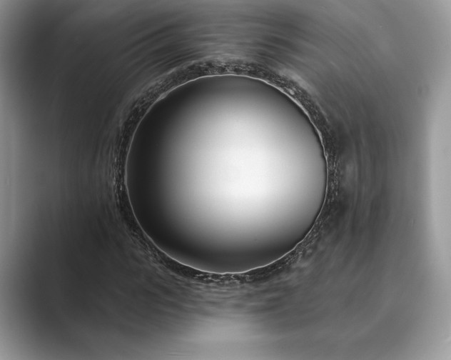 X0000089900919200707051305