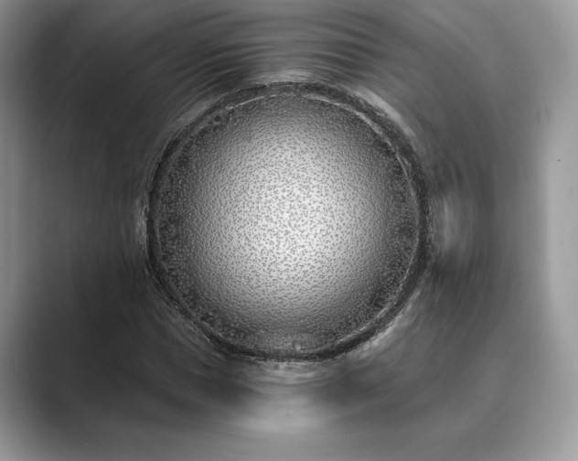 X0000089900921200707051305