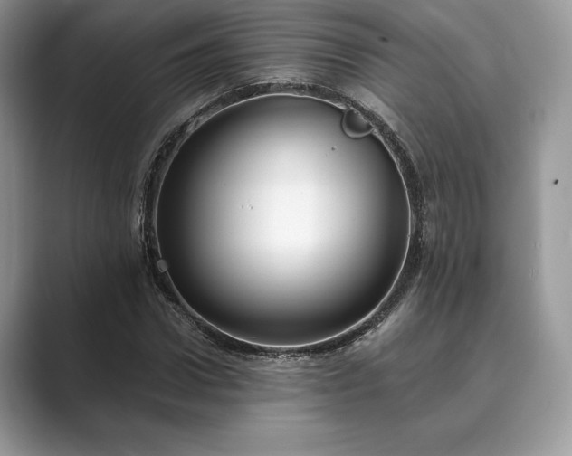 X0000089900922200707051305