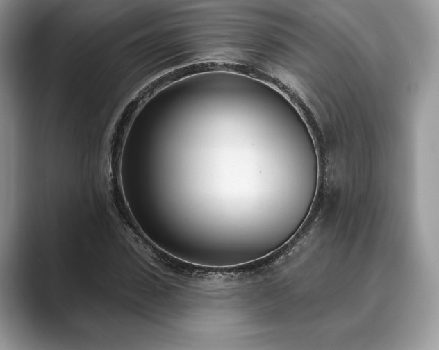 X0000089900923200707051305