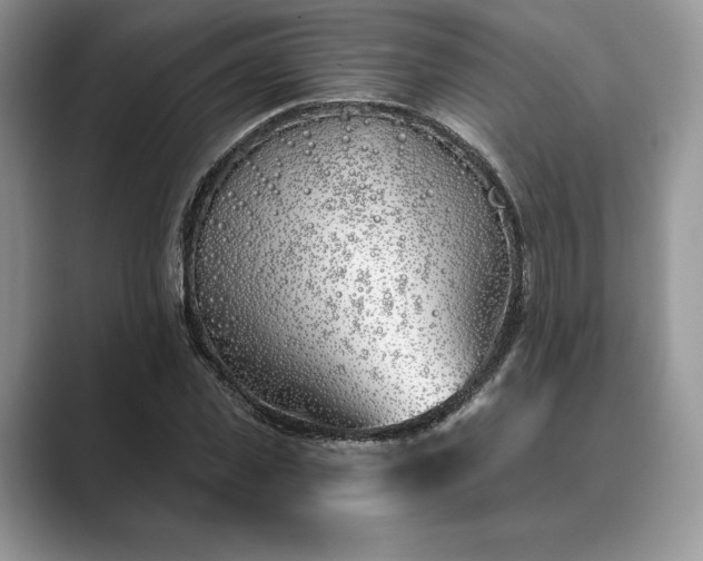 X0000089900925200707051305