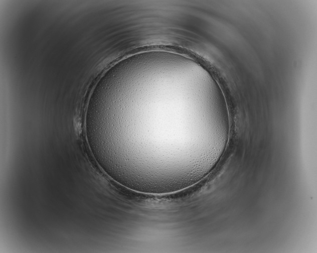 X0000089900929200707051305