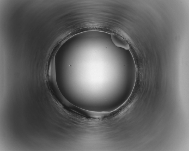 X0000089900930200707051305