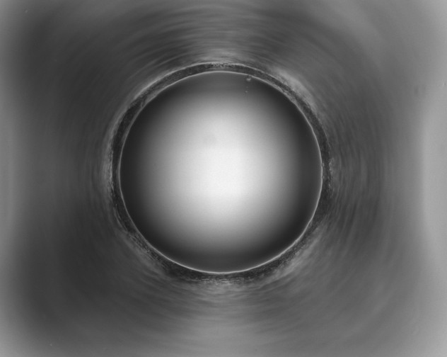 X0000089900931200707051305