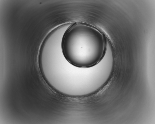 X0000089900932200707051305