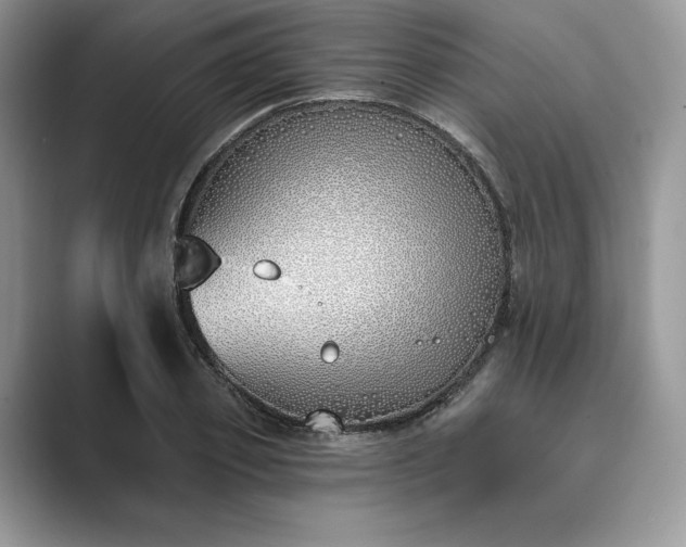 X0000089900933200707051305