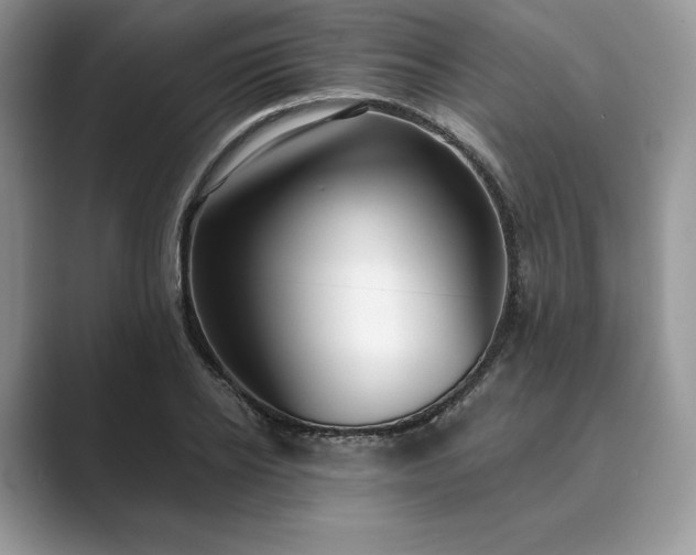 X0000089900934200707051305