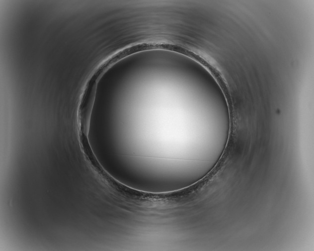 X0000089900935200707051305