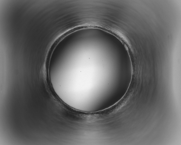 X0000089900936200707051305