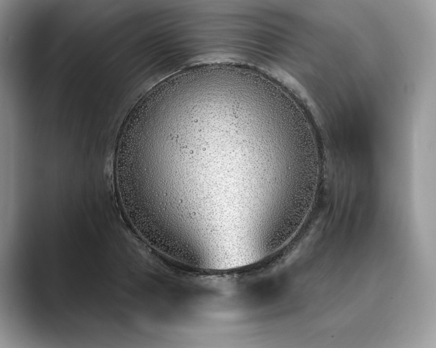 X0000089900937200707051305