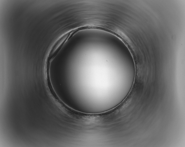 X0000089900939200707051305