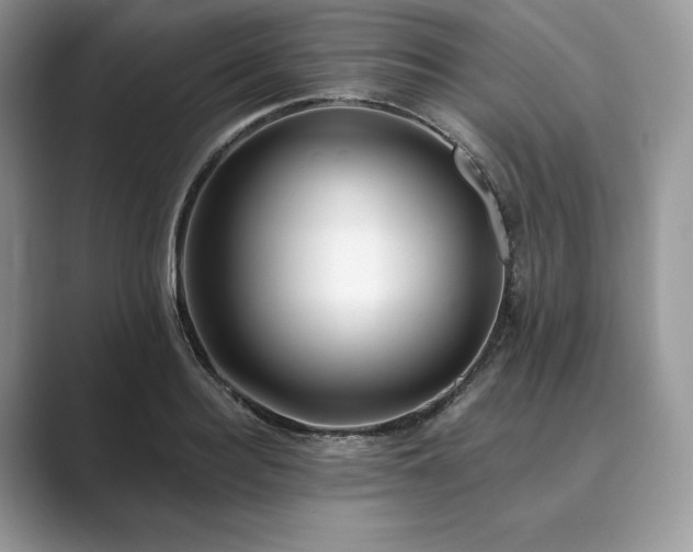 X0000089900940200707051305