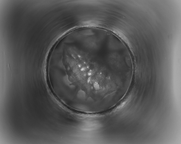 X0000089900941200707051305