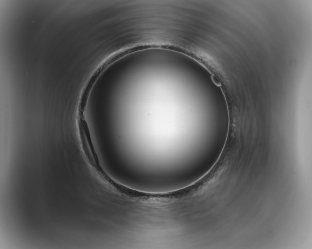 X0000089900942200707051305
