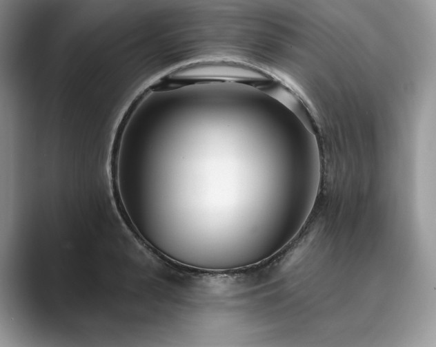 X0000089900943200707051305