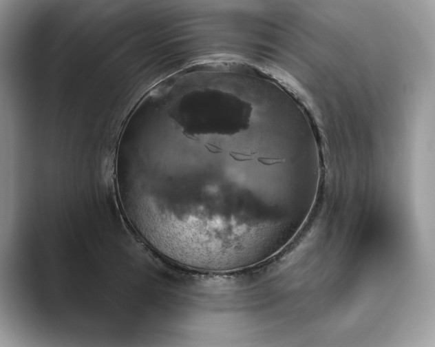 X0000089900945200707051305