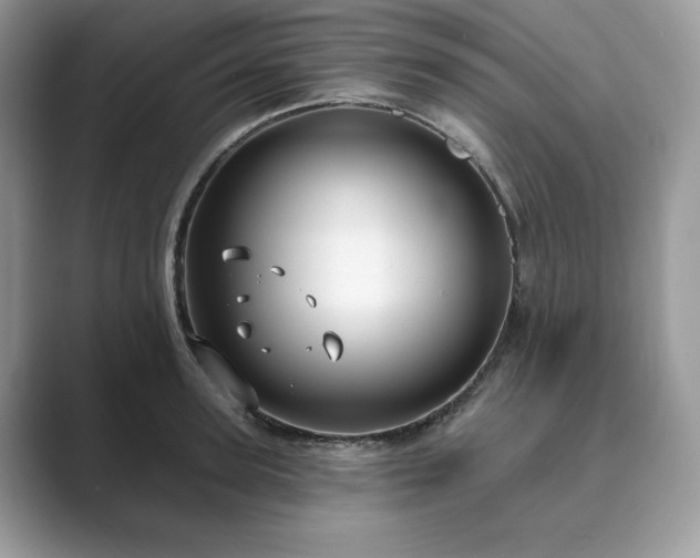 X0000089900947200707051305
