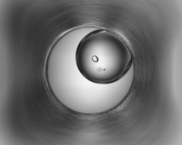 X0000089900948200707051305