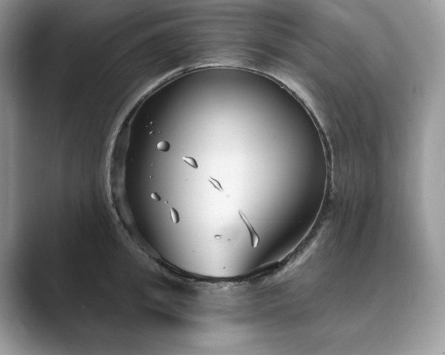 X0000089900949200707051305