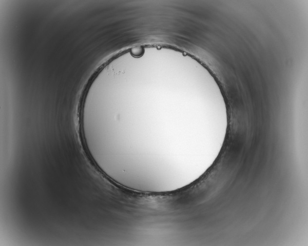 X0000089900950200707051305