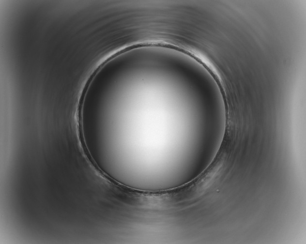X0000089900951200707051305