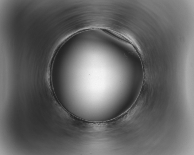 X0000089900952200707051305