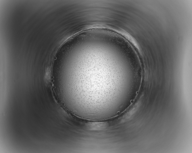 X0000089900953200707051305