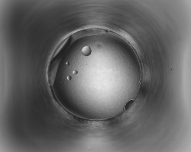 X0000089900958200707051305