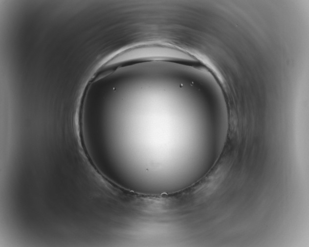 X0000089900959200707051305