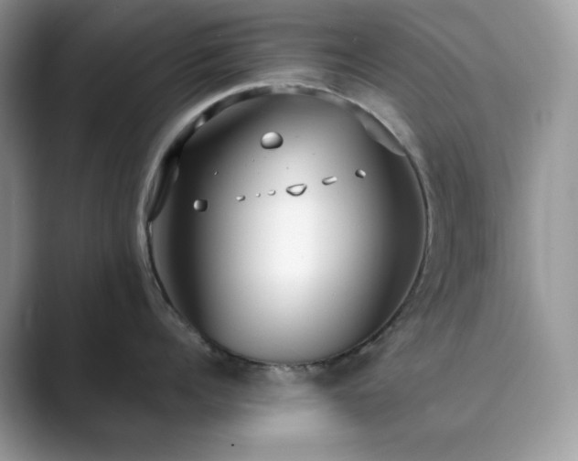 X0000089900960200707051305
