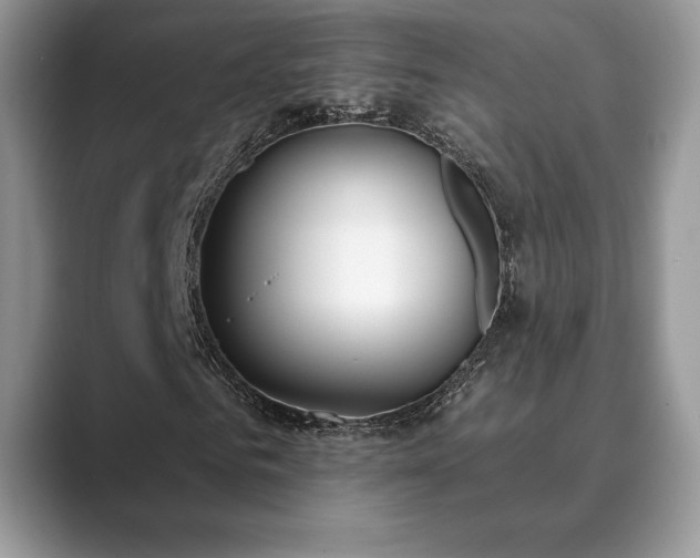 X0000089900961200707051305
