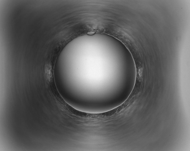 X0000089900963200707051305