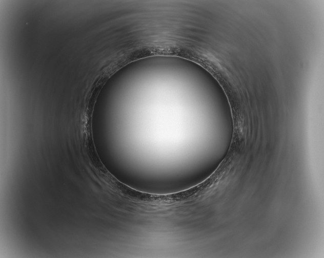 X0000089900964200707051305