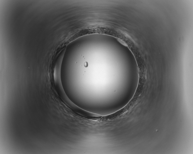 X0000089900965200707051305