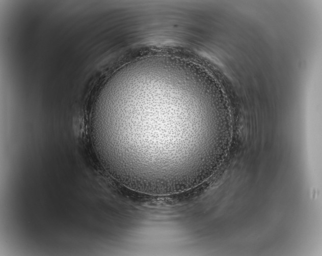 X0000089900966200707051305