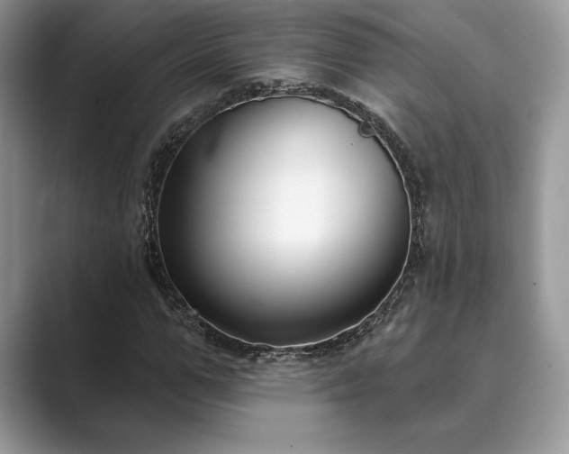X0000089900967200707051305