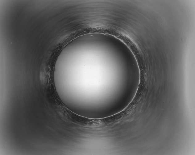 X0000089900968200707051305