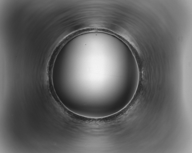 X0000089900972200707051305