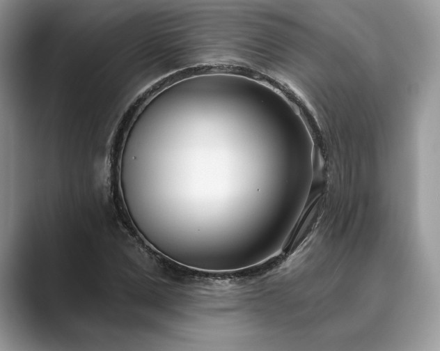 X0000089900975200707051305
